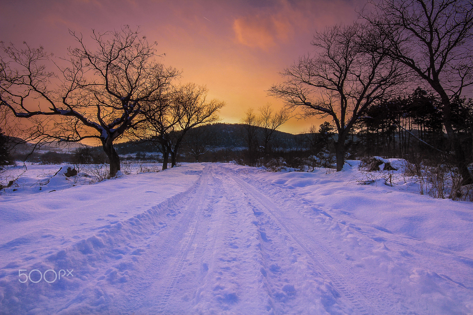 Sigma 10-20mm F4-5.6 EX DC HSM sample photo. The path photography