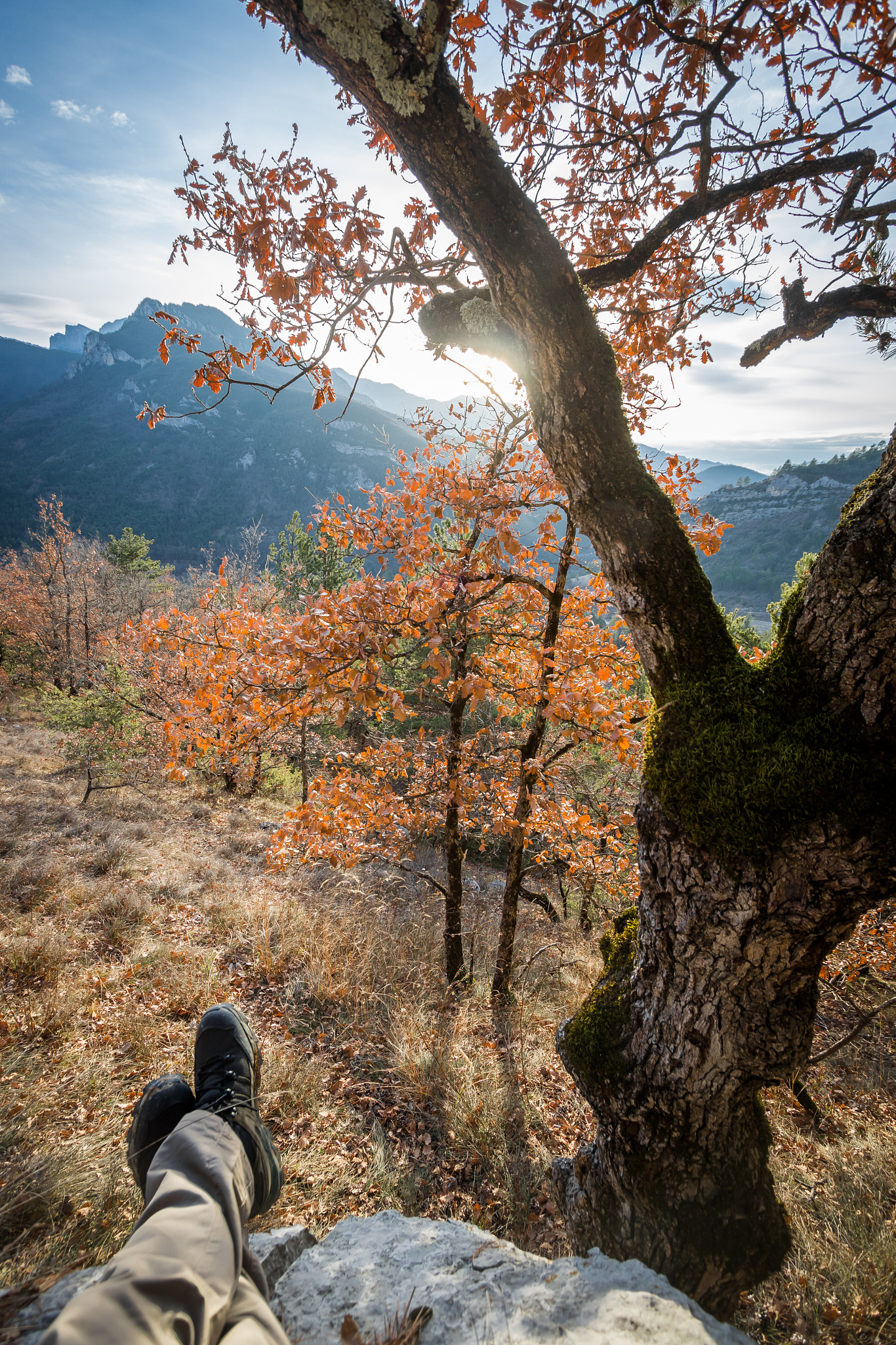 Canon EF-S 10-22mm F3.5-4.5 USM sample photo. Tranquille photography
