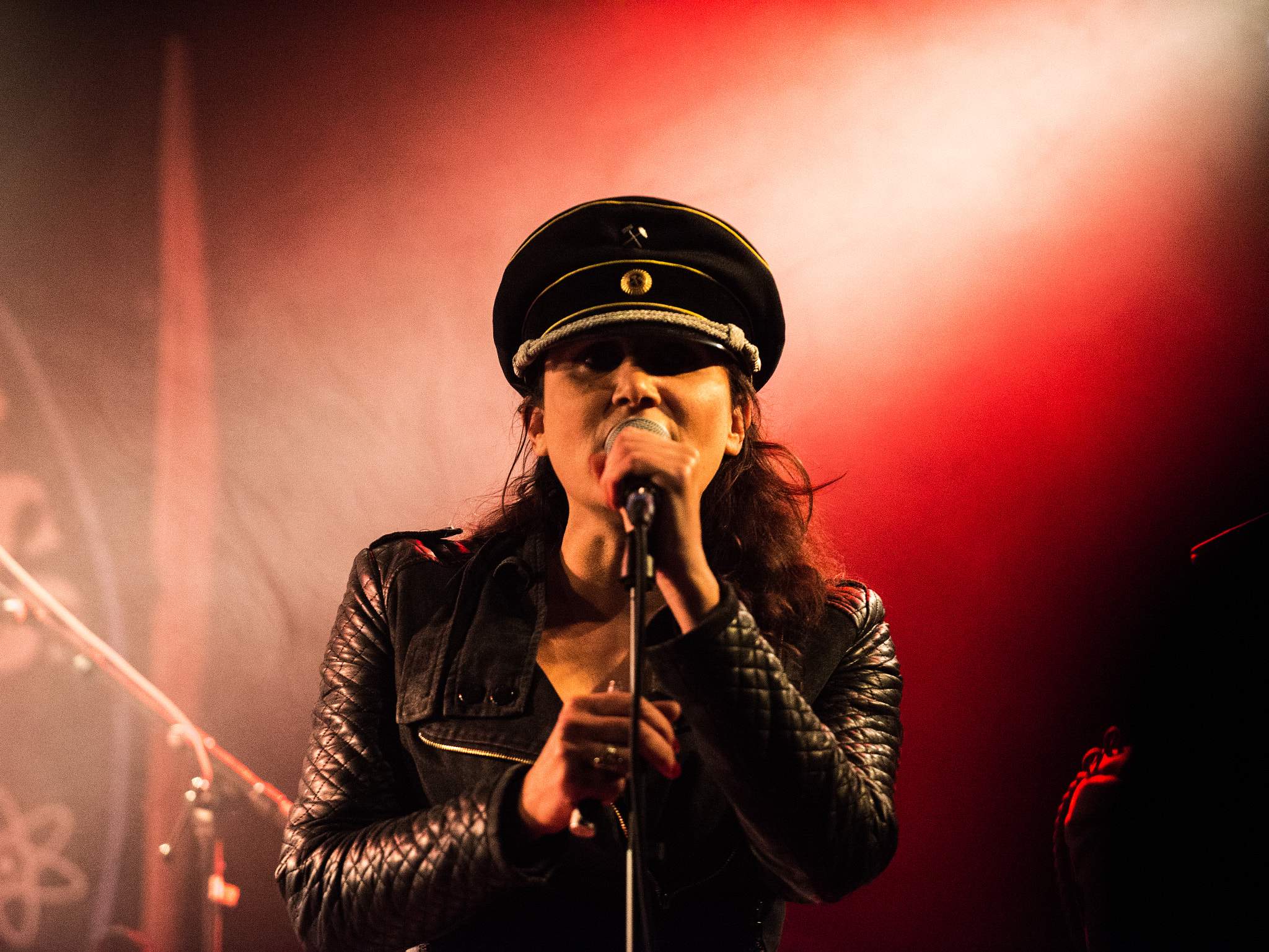 Nikon D600 sample photo. Rock live show, grenoble, france photography