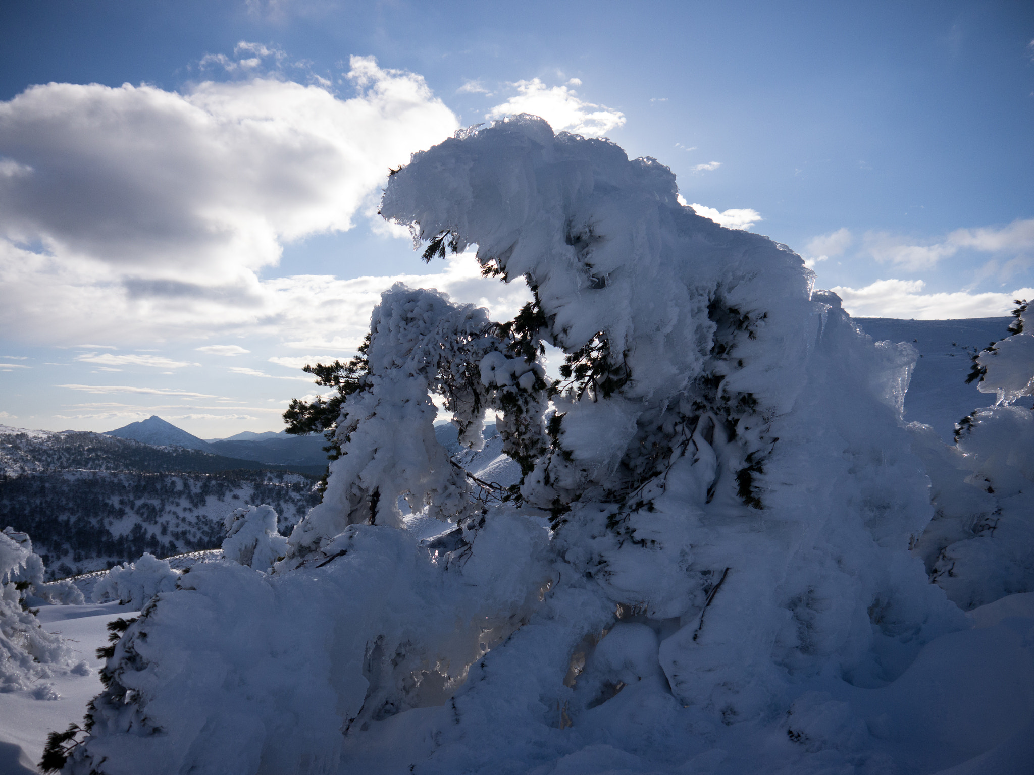Panasonic Lumix DMC-GH2 sample photo. Buried in snow photography