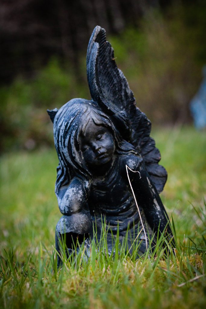 Black Angel by Milo Denison on 500px.com