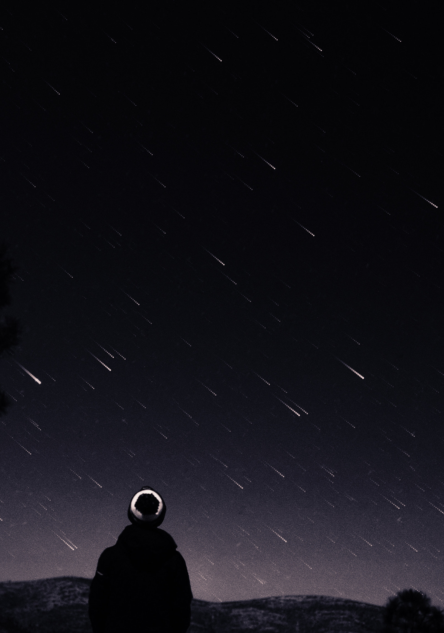 Canon EOS 750D (EOS Rebel T6i / EOS Kiss X8i) sample photo. Staring at shooting stars. photography