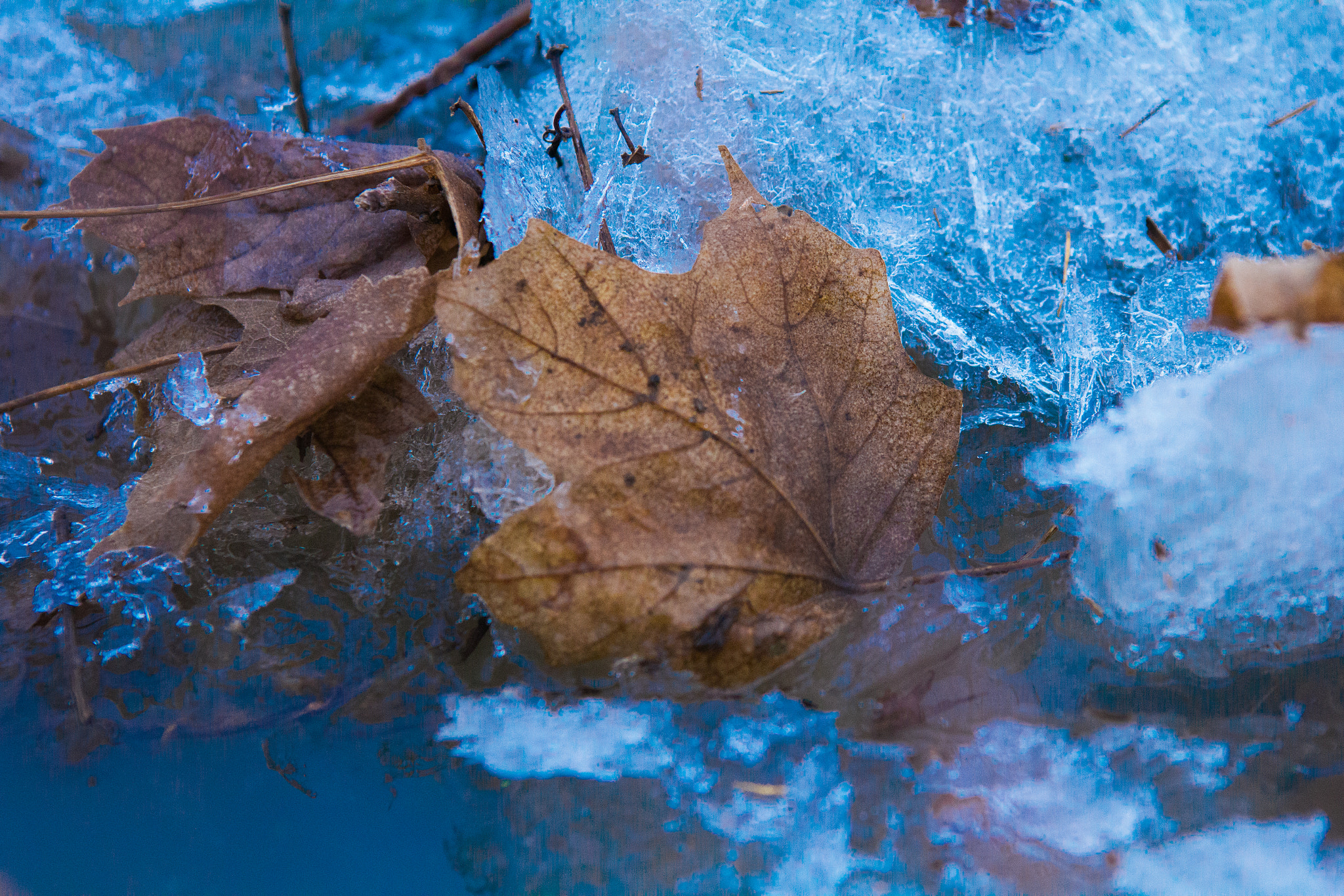 Sigma 70-200mm F2.8 EX DG OS HSM sample photo. Frozen canada photography