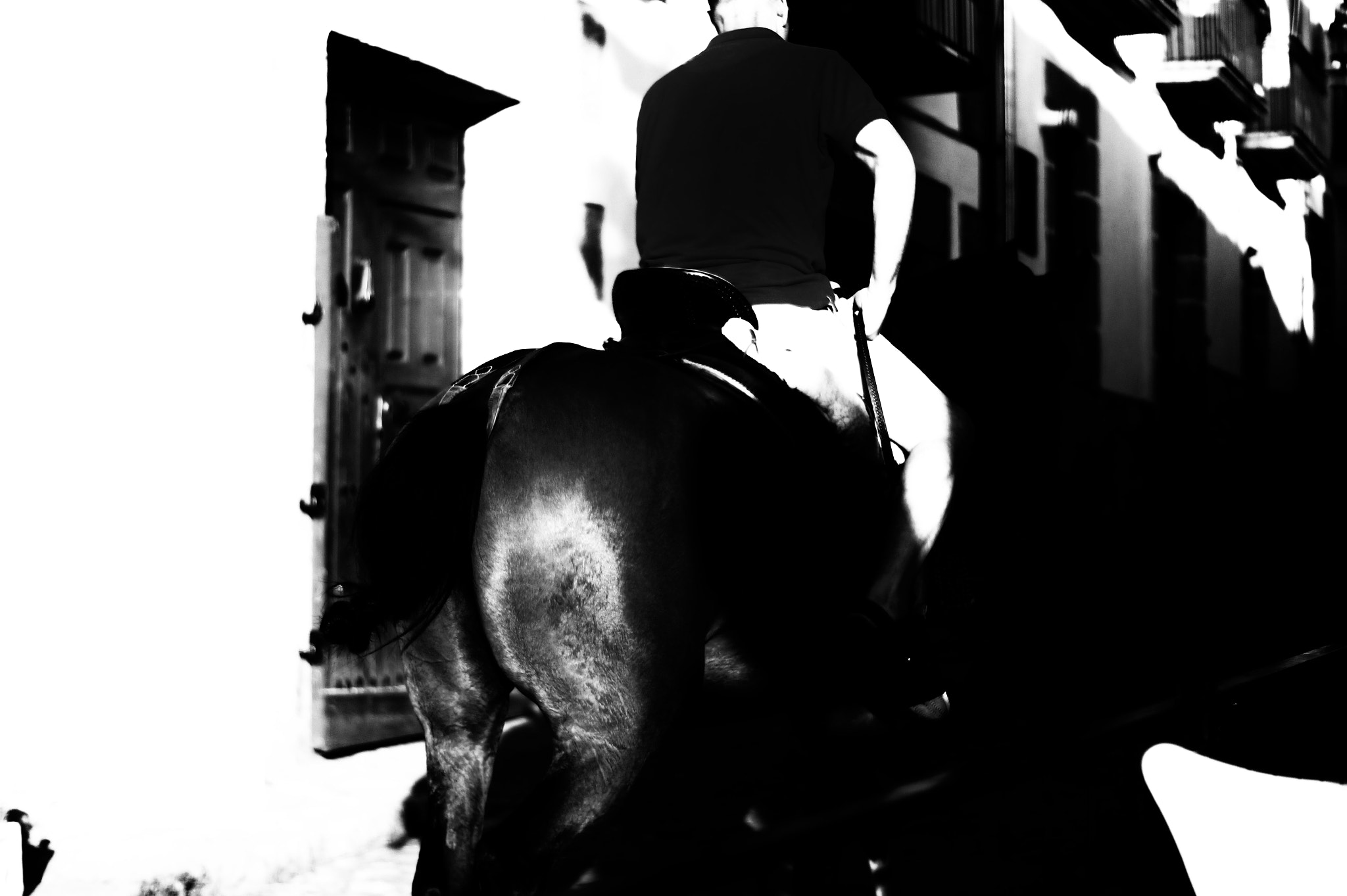 Sony SLT-A58 + Sony DT 50mm F1.8 SAM sample photo. The horseman photography