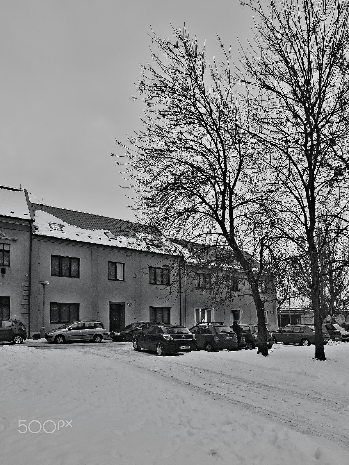 Nikon Coolpix P6000 sample photo. Chomutov, czech republic - january 20, 2017: cars parked in front of houses in lidicka street in... photography