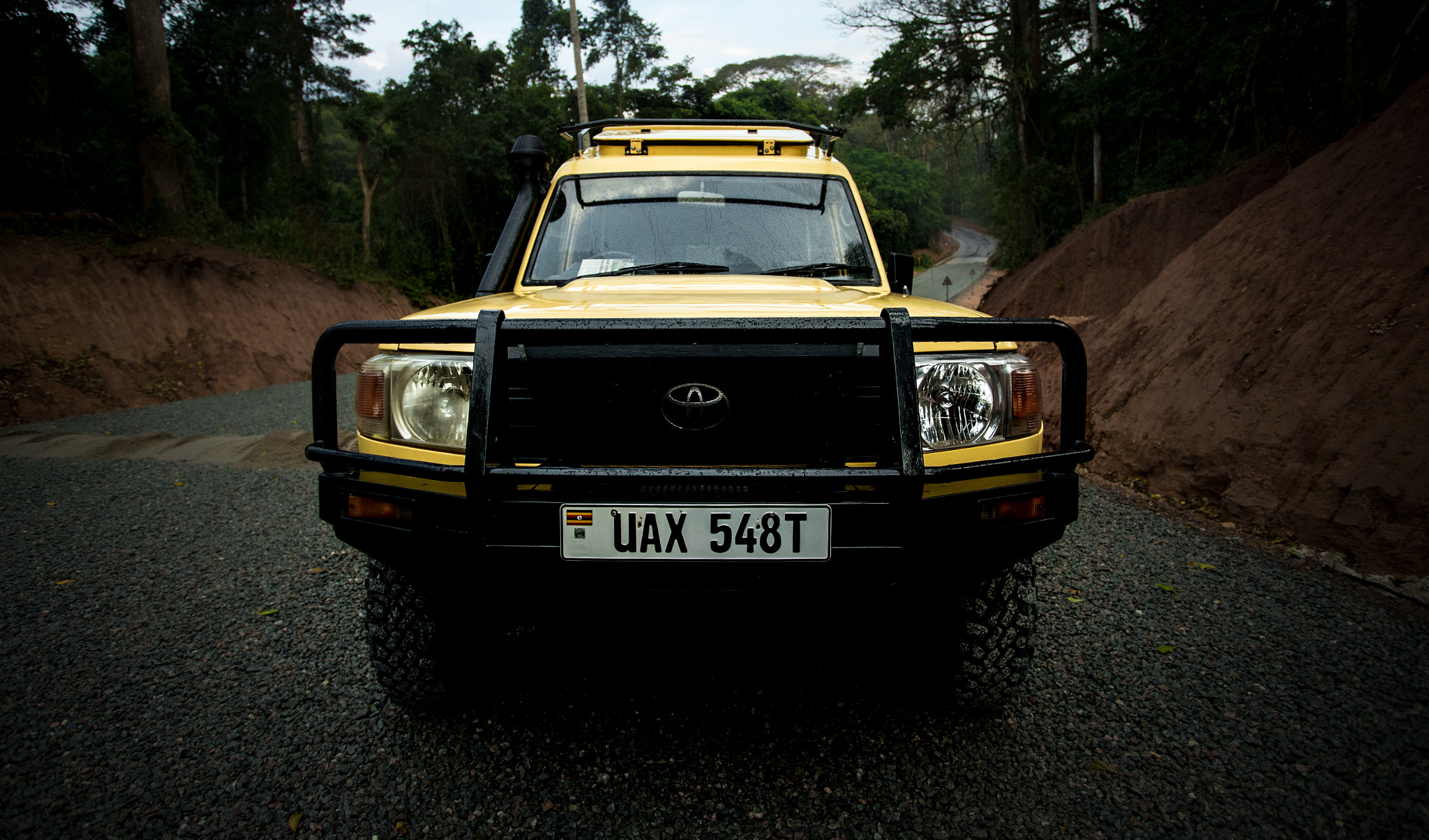 Canon EF 17-40mm F4L USM sample photo. Car in jungle photography
