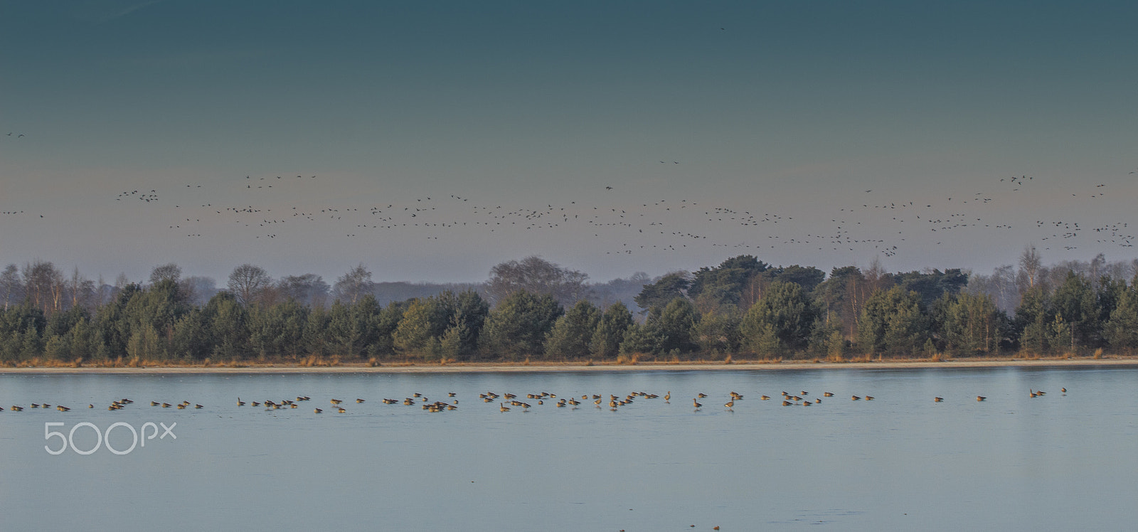 Canon EOS 700D (EOS Rebel T5i / EOS Kiss X7i) + Canon EF 70-200mm F4L USM sample photo. Frozen lake photography