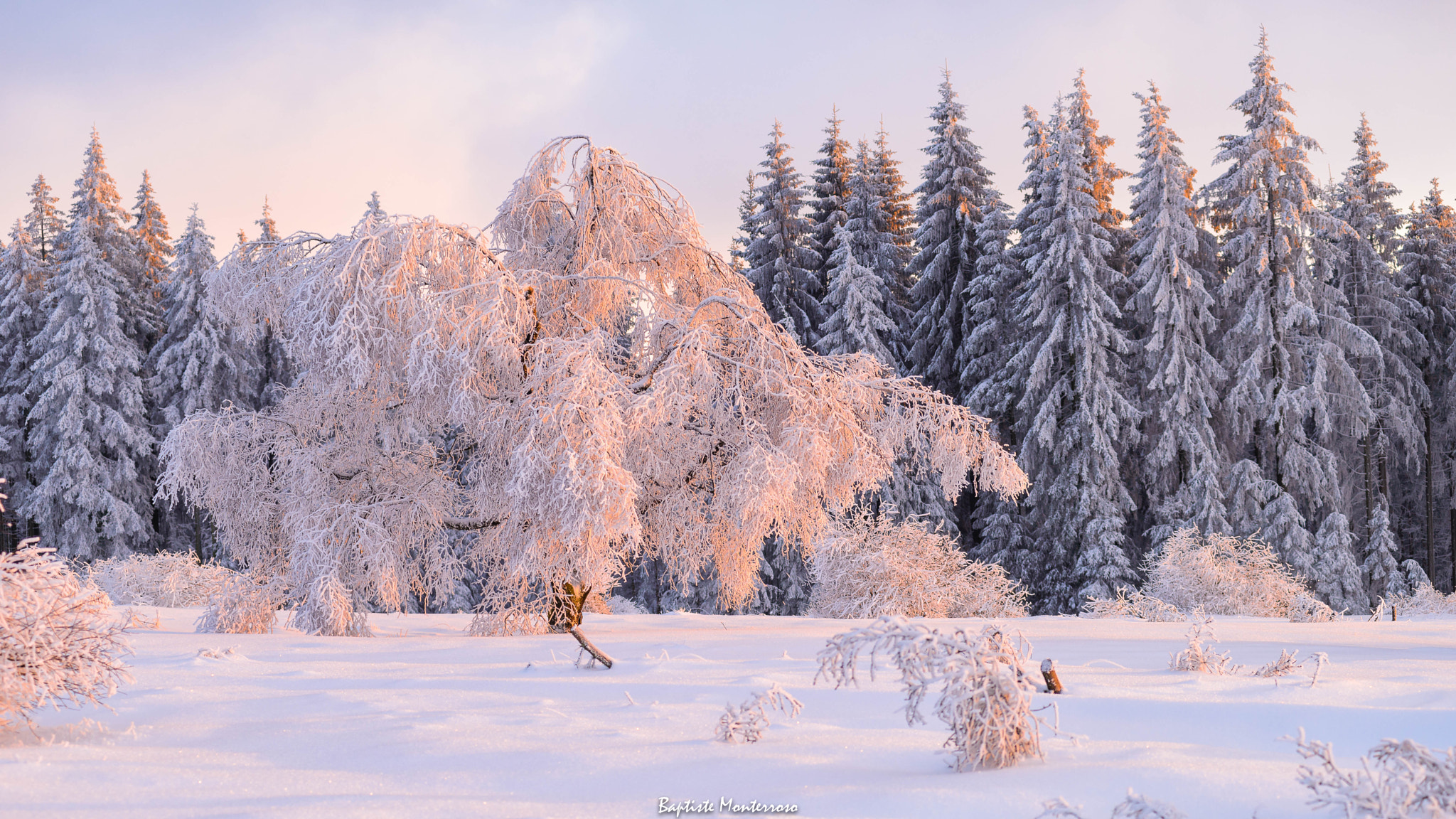 AF Zoom-Nikkor 80-200mm f/2.8 ED sample photo. Golden snow photography