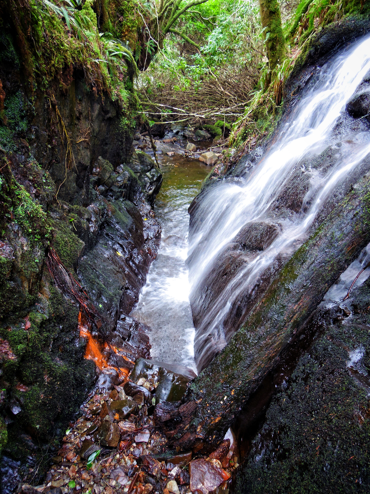 Pentax Q sample photo. Little cascade, deep in the forest photography