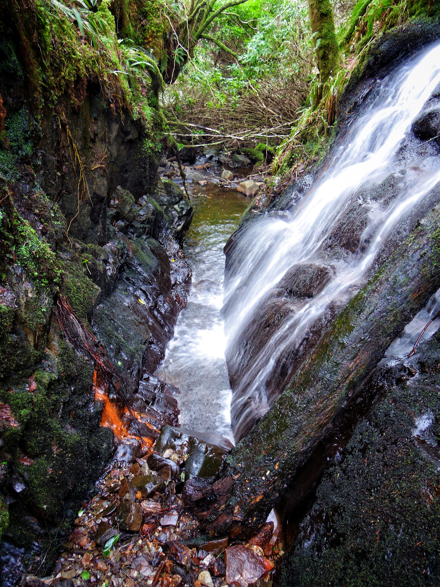 Pentax 02 Standard Zoom sample photo. Little cascade, deep in the forest photography