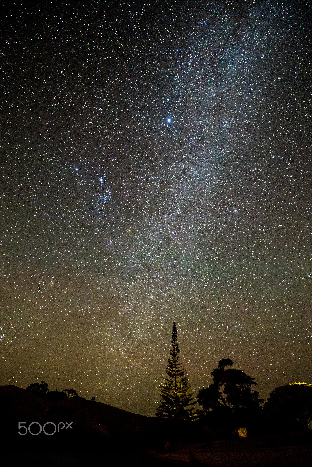 Canon EF 16-35mm F4L IS USM sample photo. Whananaki holiday park, new zealand photography