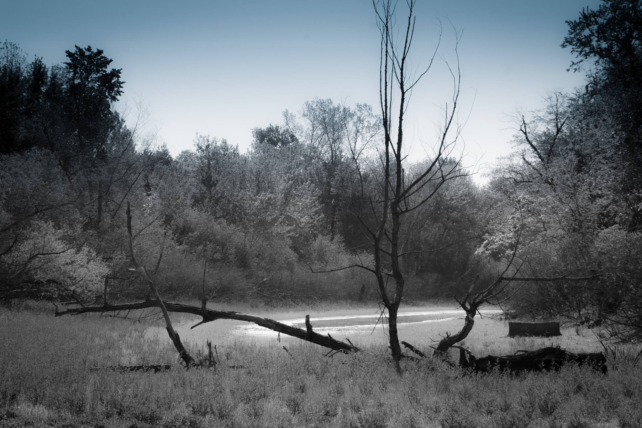 Pentax K100D sample photo. Flood remnants photography