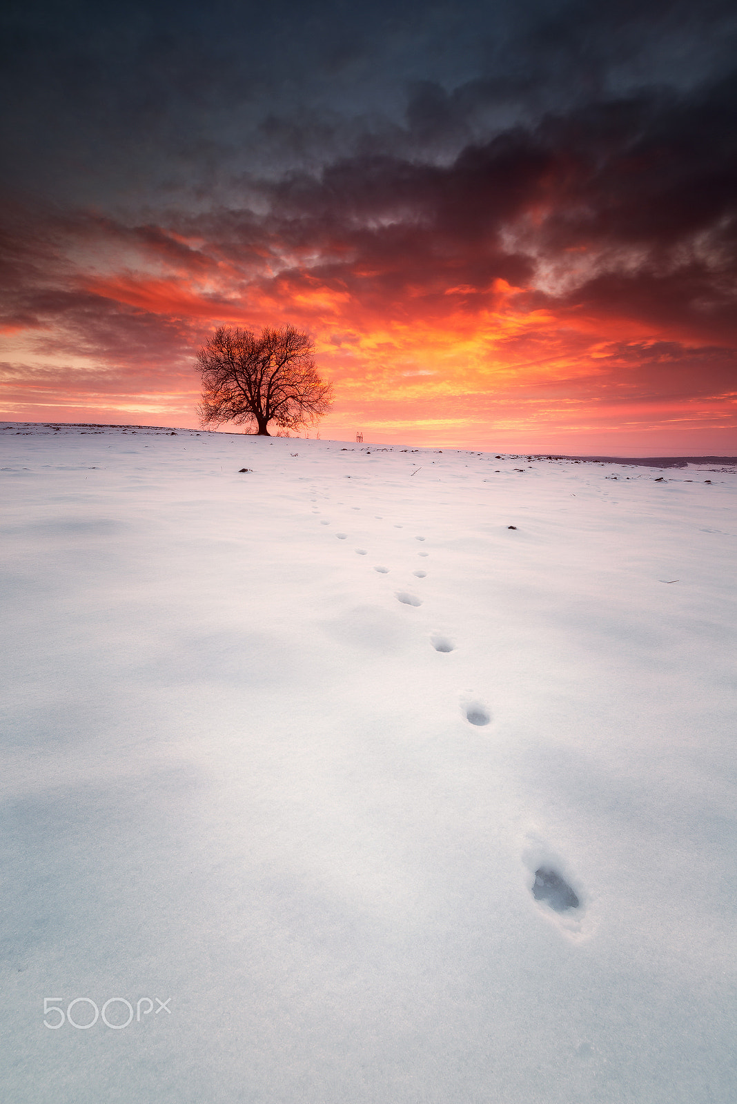 Tamron SP 15-30mm F2.8 Di VC USD sample photo. Burning snow photography