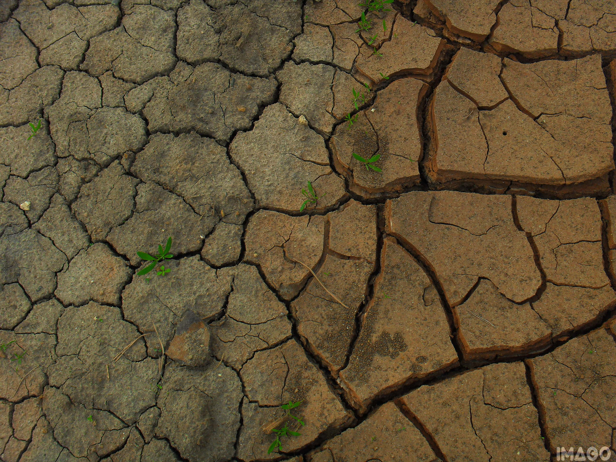Samsung I100,  VLUU I100 sample photo. Ground photography
