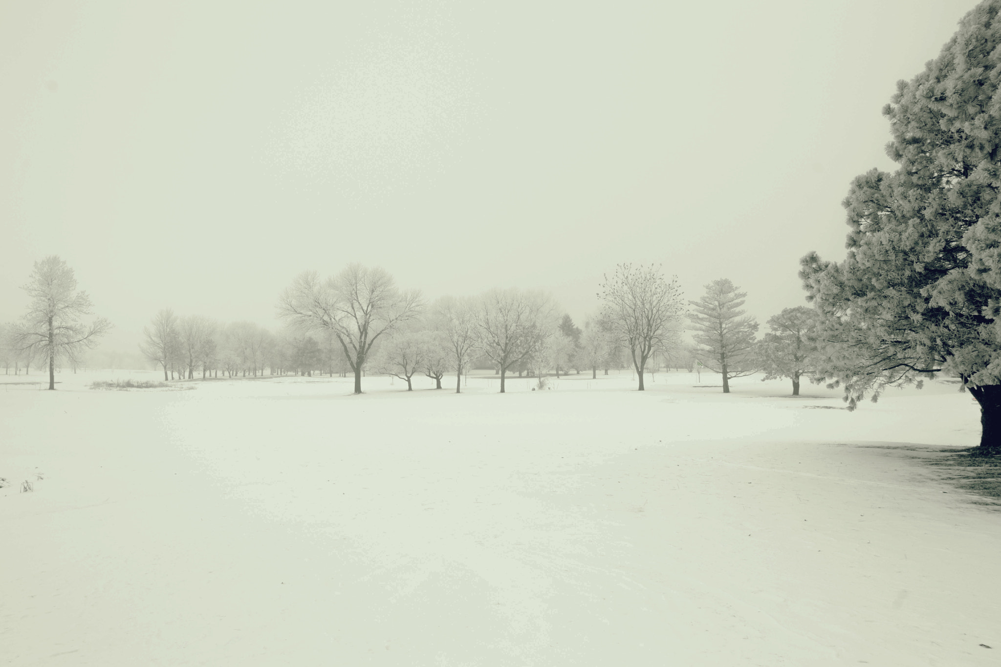 Sony Alpha DSLR-A850 + Minolta AF 17-35mm F2.8-4 (D) sample photo. Freezing beauty photography
