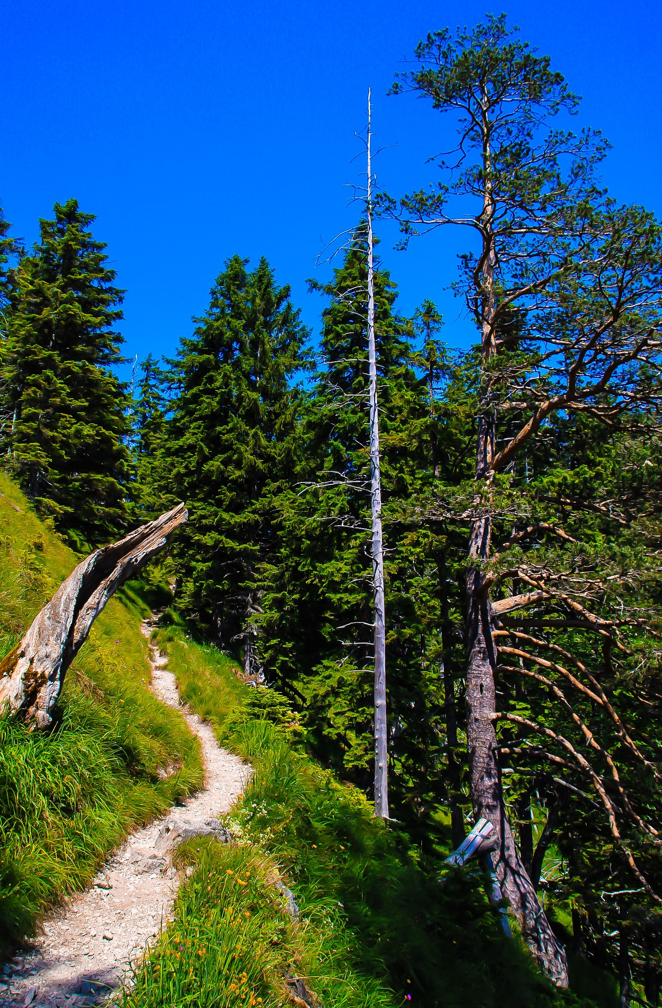 Sigma 18-200mm f/3.5-6.3 DC OS sample photo. Bavaria #5 photography