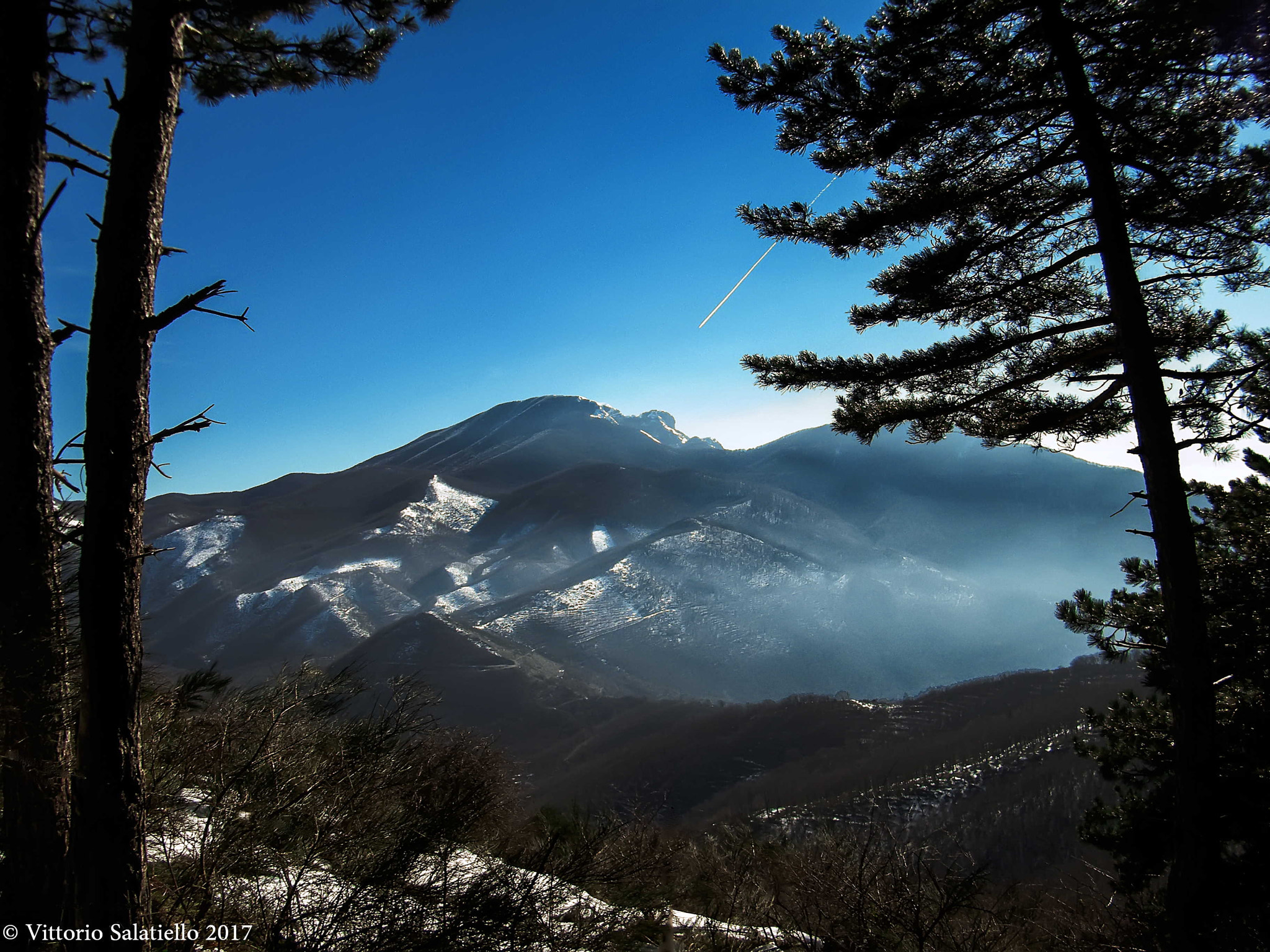 Fujifilm FinePix S2000HD sample photo. Image photography