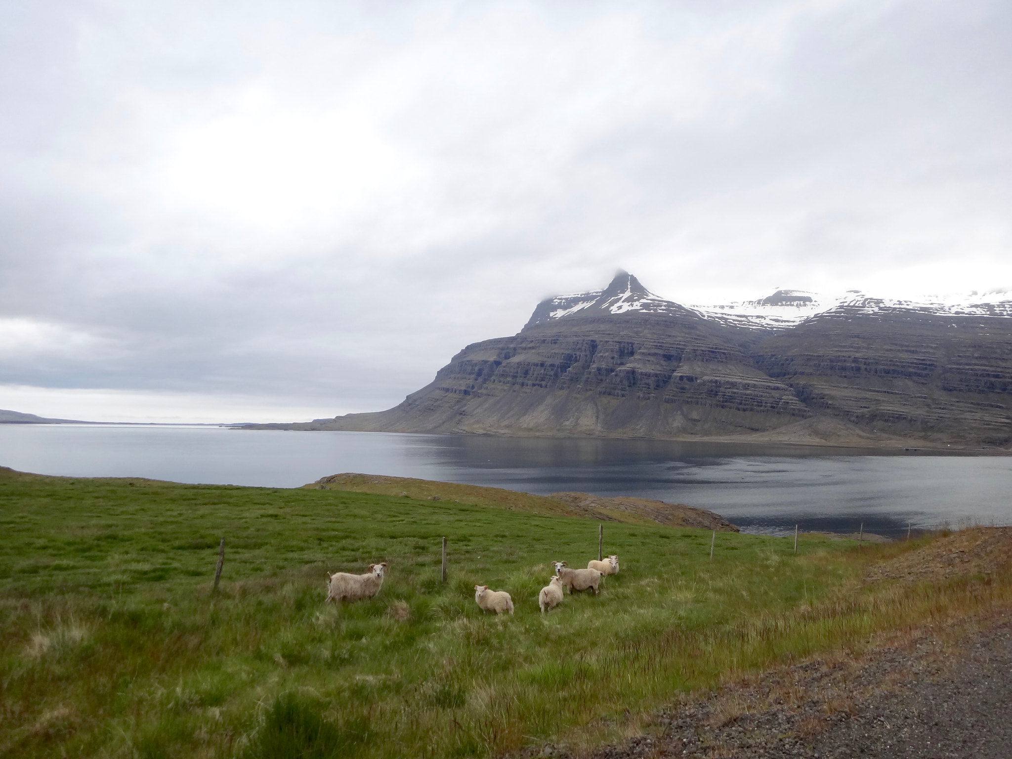 Sony DSC-TX100V sample photo. Islande photography