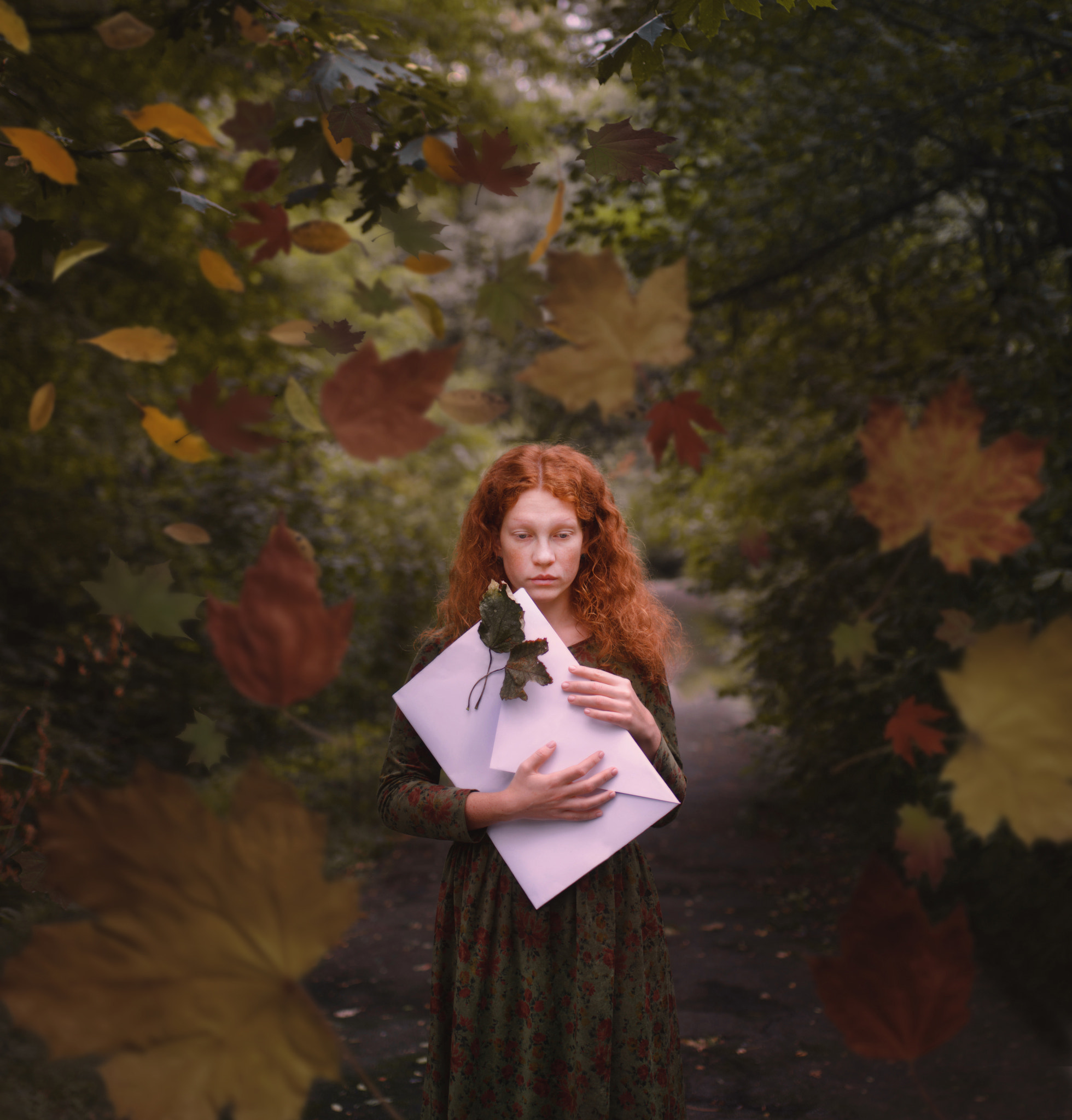 Nikon D7000 + Sigma 35mm F1.4 DG HSM Art sample photo. A letter from autumn.. photography