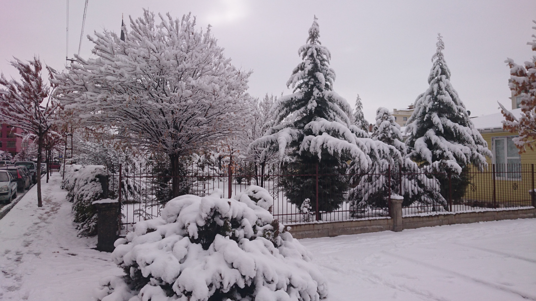 Sony Xperia Z3+ sample photo