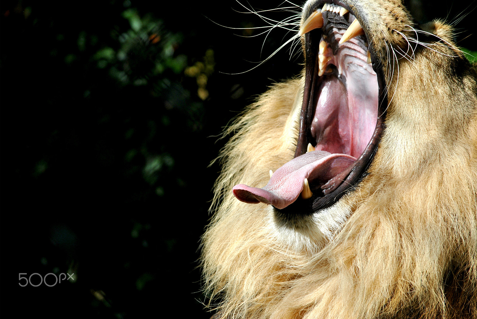 Nikon D3000 sample photo. A strenuous day photography