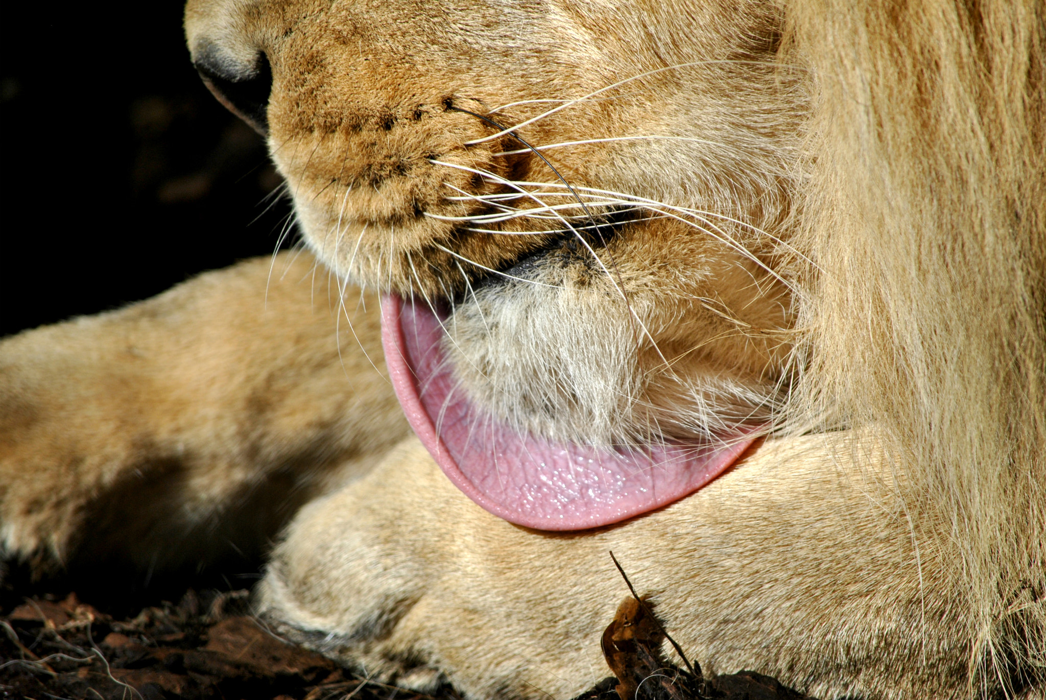 Nikon D3000 sample photo. A strenuous day photography