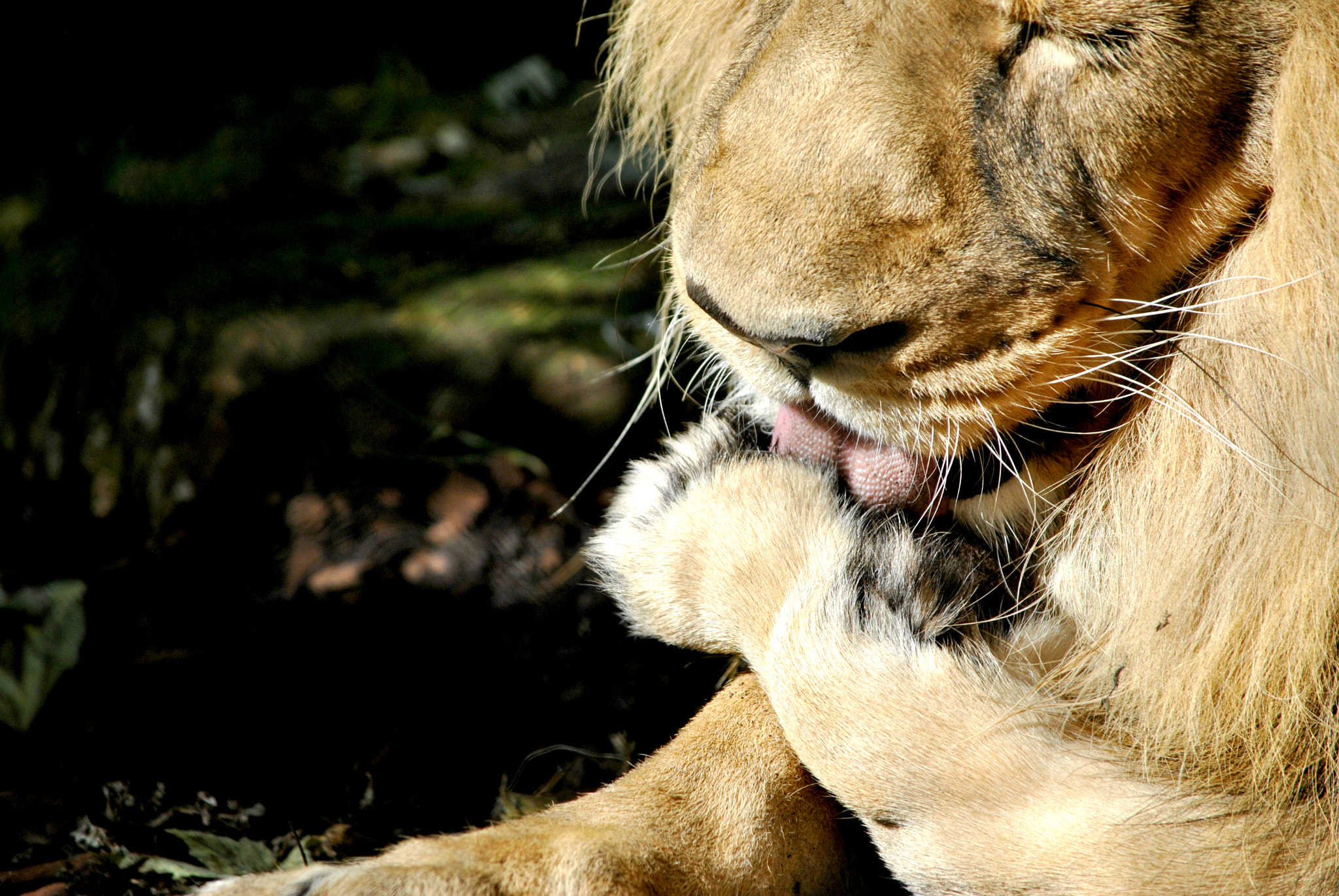 Nikon D3000 sample photo. A strenuous day photography