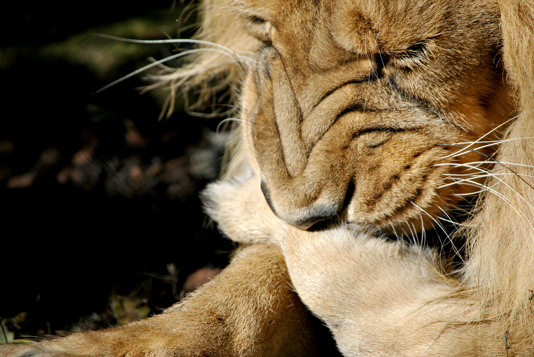 Nikon D3000 sample photo. A strenuous day photography