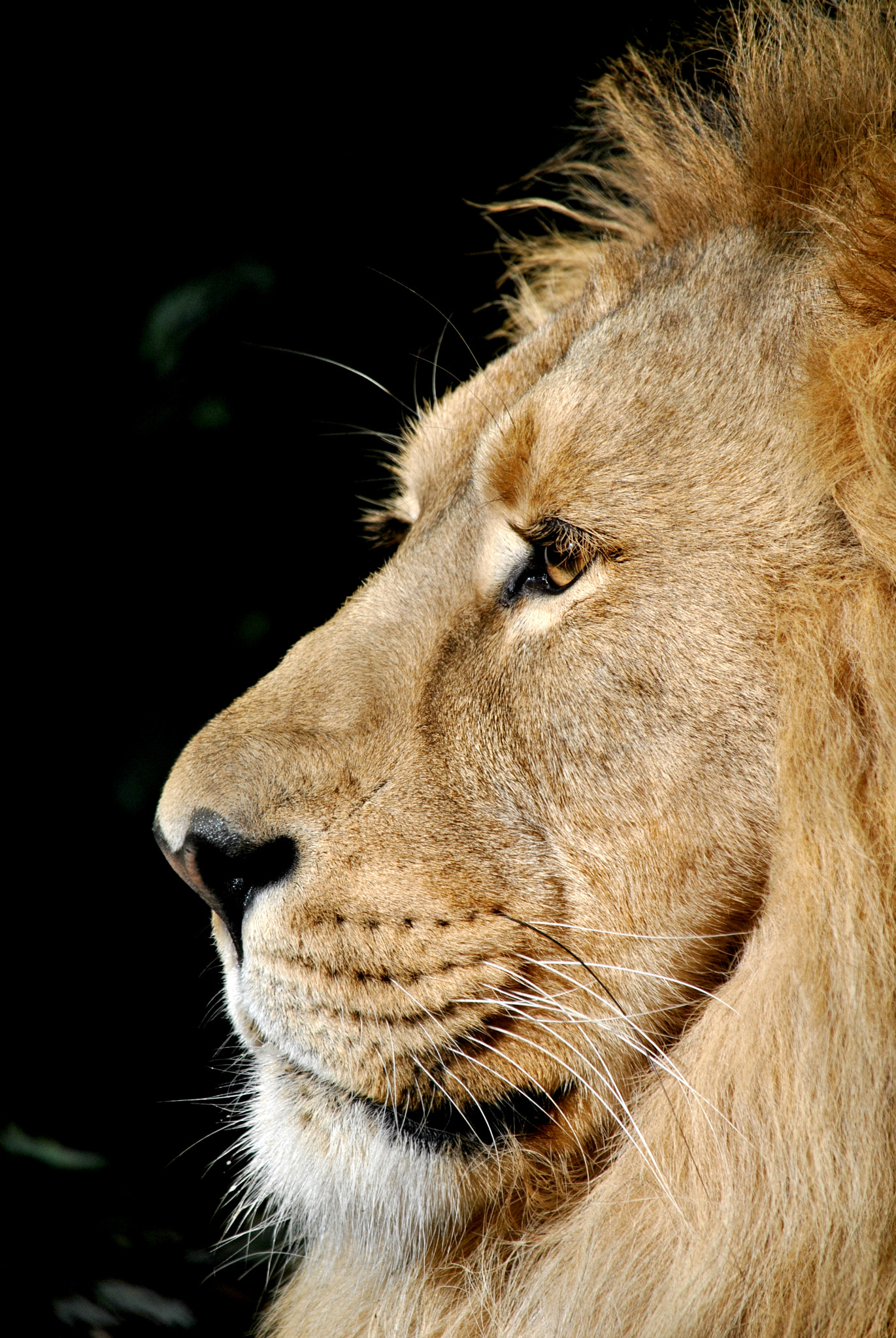 Nikon D3000 sample photo. A strenuous day photography