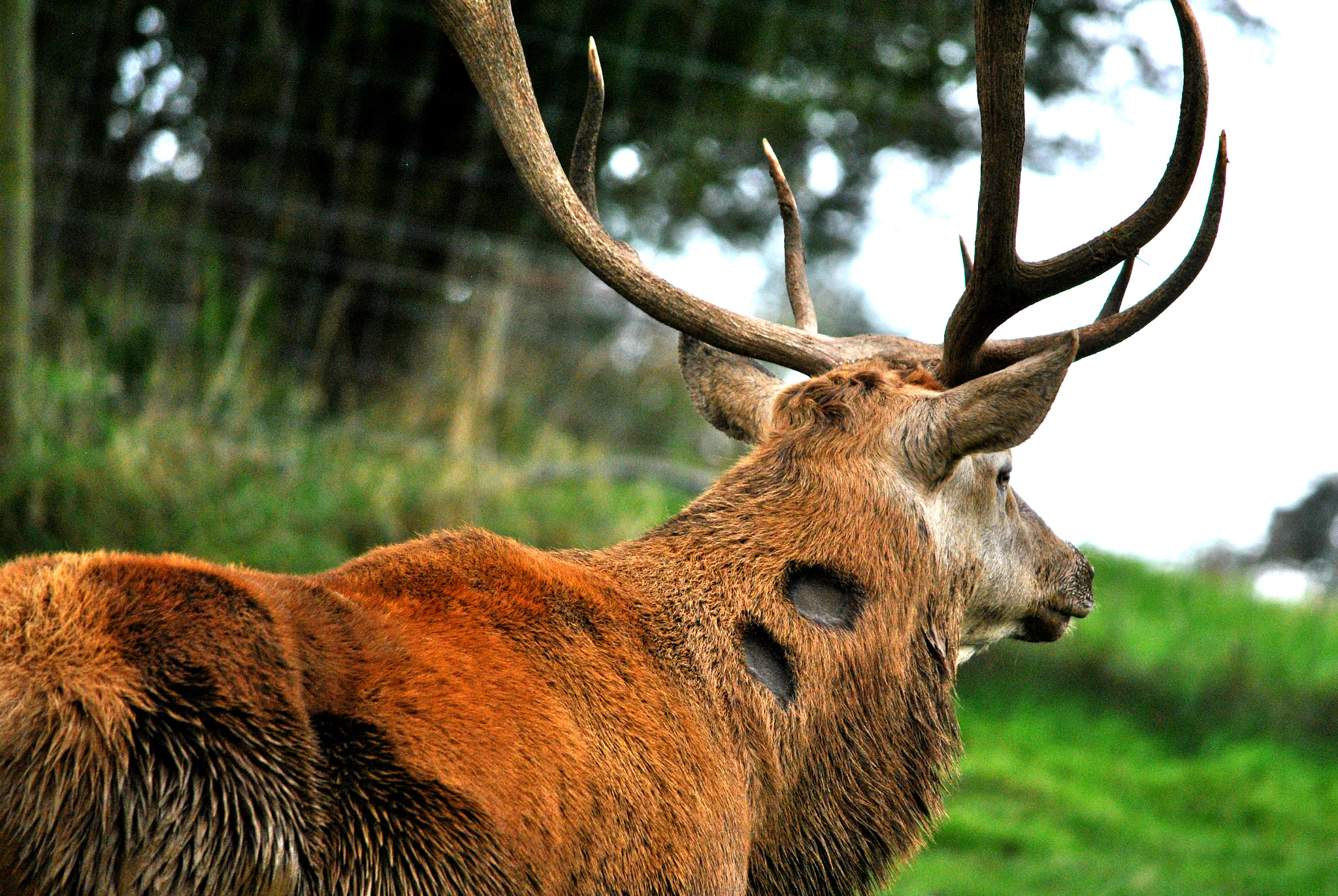 Nikon D3000 sample photo. Staggering photography