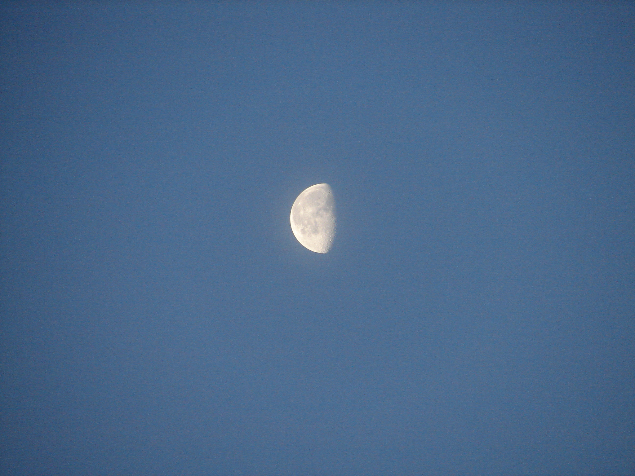 Sony DSC-H1 sample photo. The half moon photography
