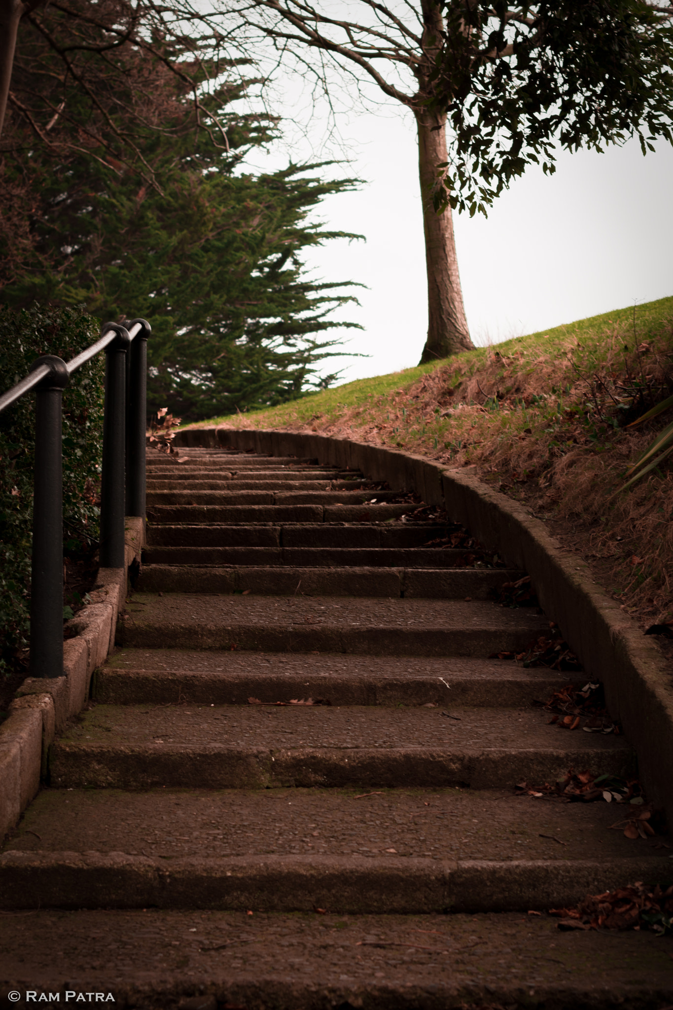 Nikon D5600 + Nikon AF-S Nikkor 50mm F1.4G sample photo. Stairs to a new tomorrow photography