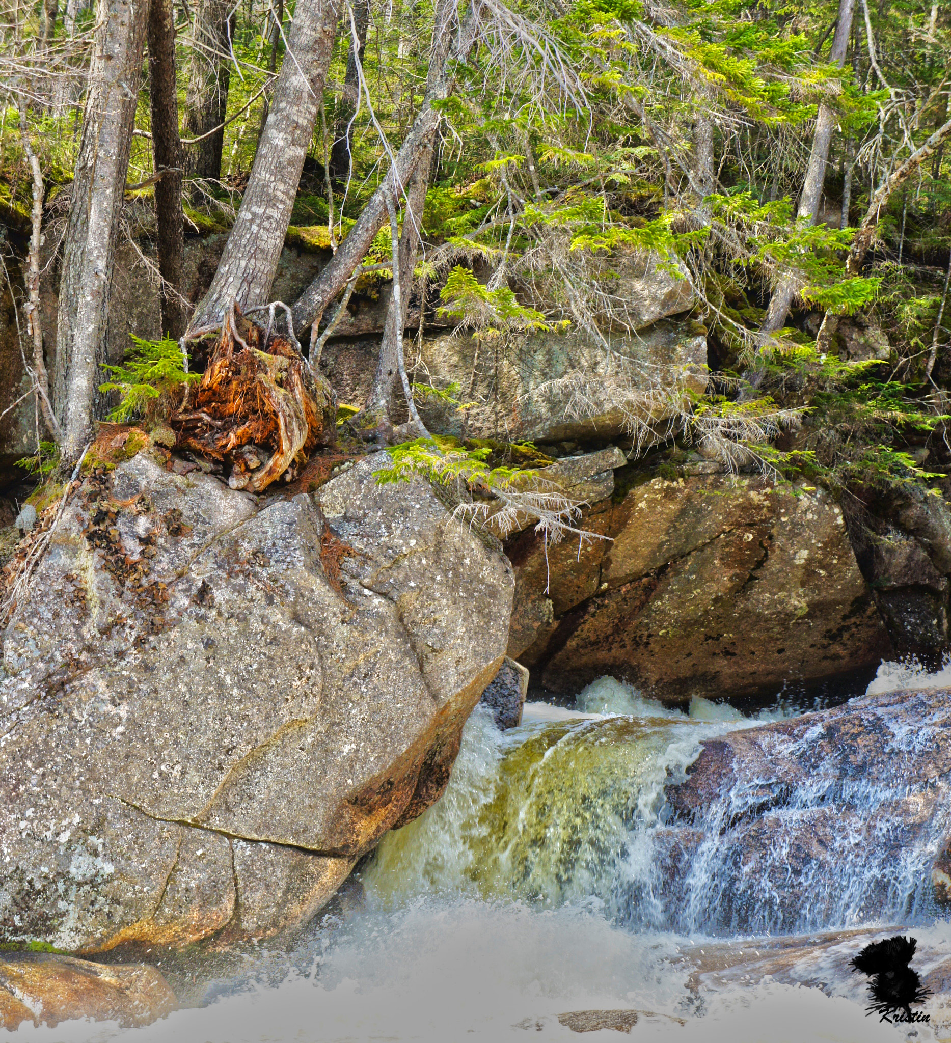 Sony E 18-55mm F3.5-5.6 OSS sample photo. Pemi falls photography