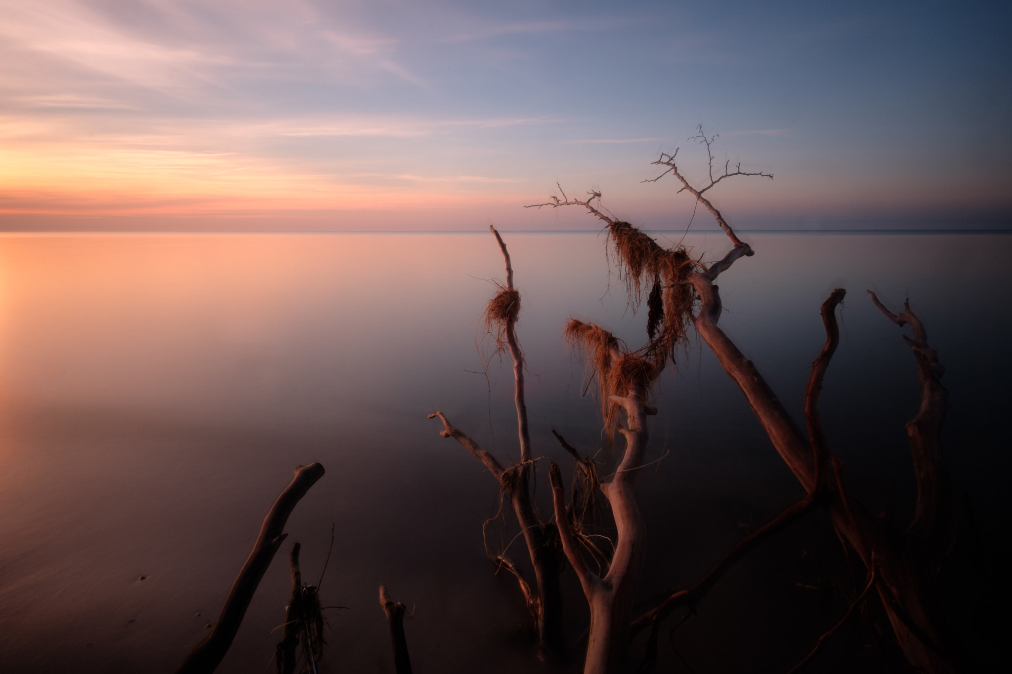 Fujifilm X-T2 + ZEISS Touit 12mm F2.8 sample photo. Darß weststrand photography