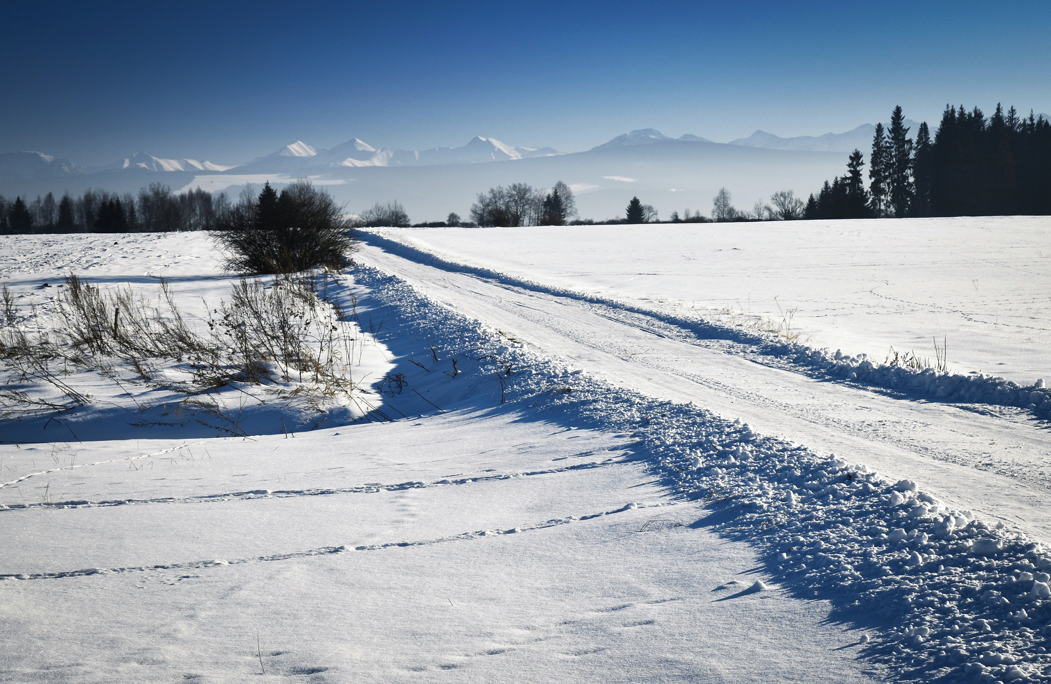 Nikon D5500 sample photo. Road through winter landscape photography