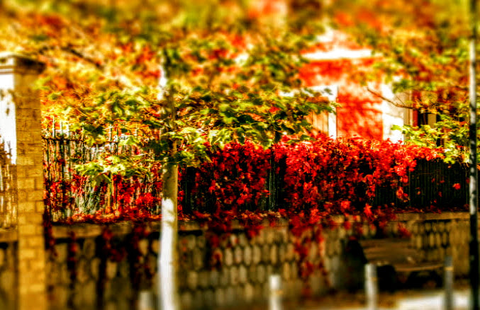Canon EOS 760D (EOS Rebel T6s / EOS 8000D) sample photo. Tardor photography