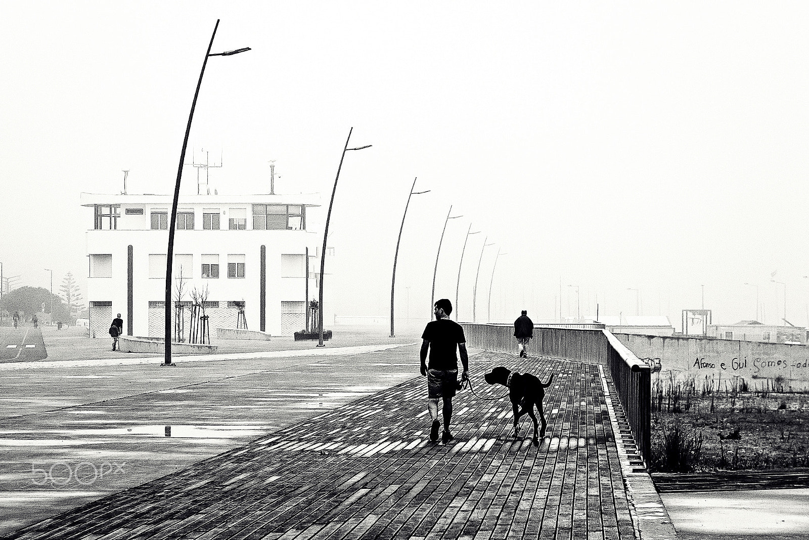 Canon EOS 500D (EOS Rebel T1i / EOS Kiss X3) sample photo. Take the dog for a walk. photography