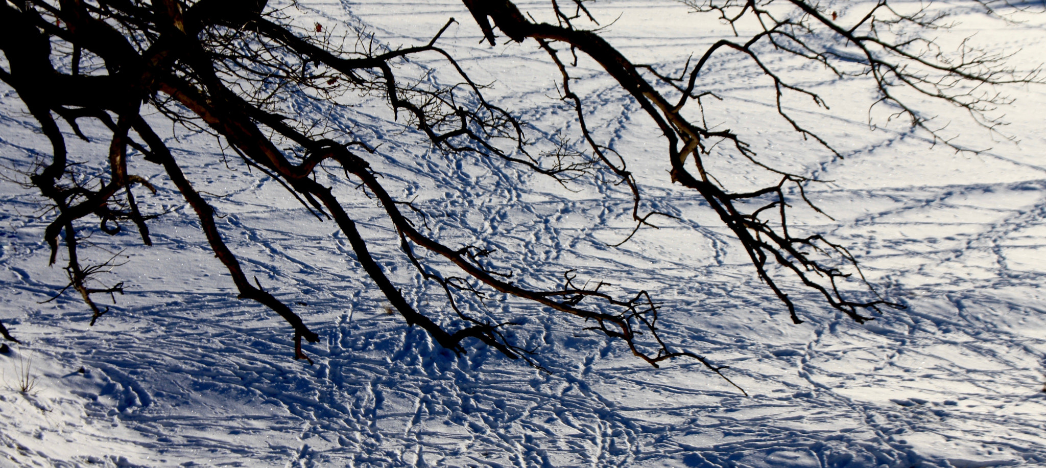 Canon EF-S 18-55mm F3.5-5.6 II sample photo. Astracts in sno.w1405 photography