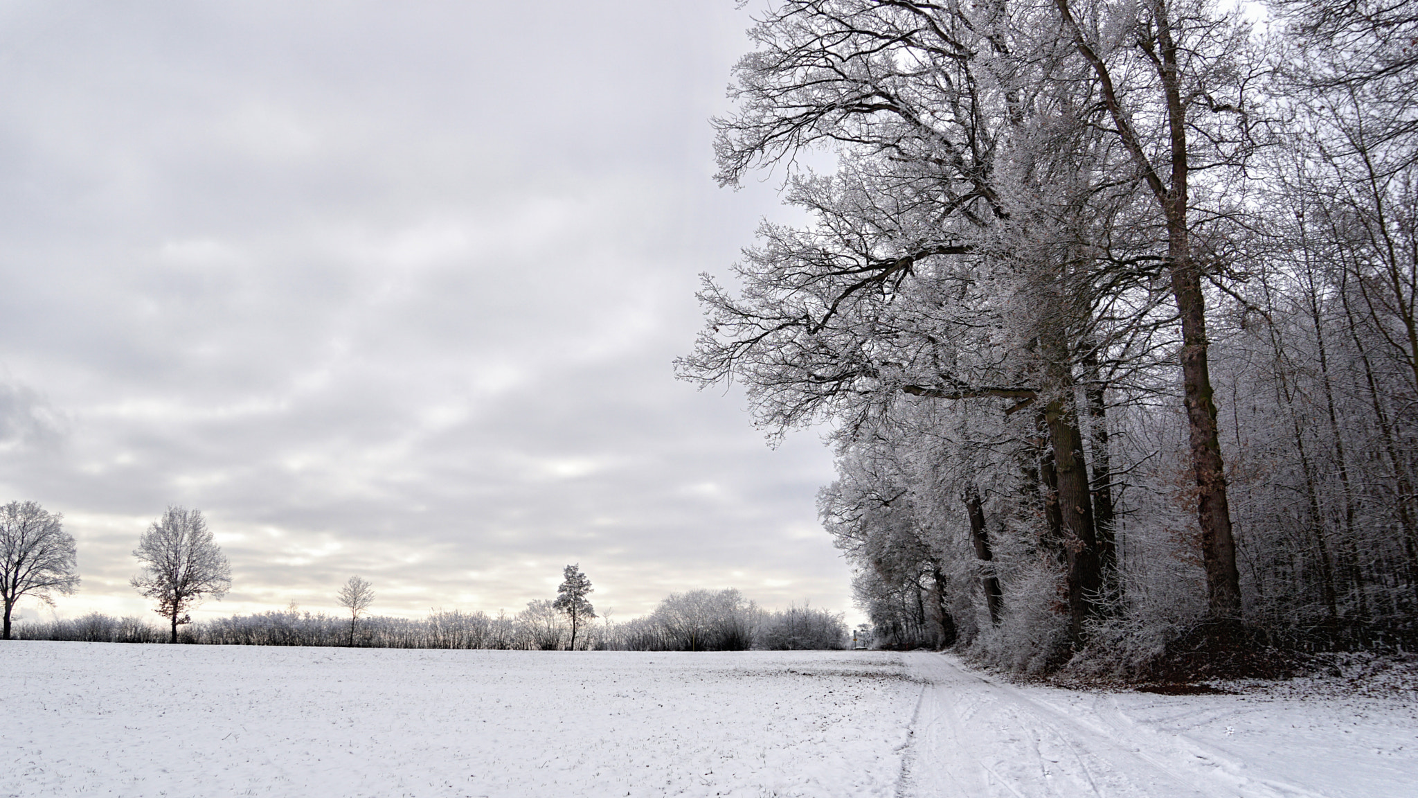Sony E 18-200mm F3.5-6.3 OSS sample photo. Snowy landscape photography