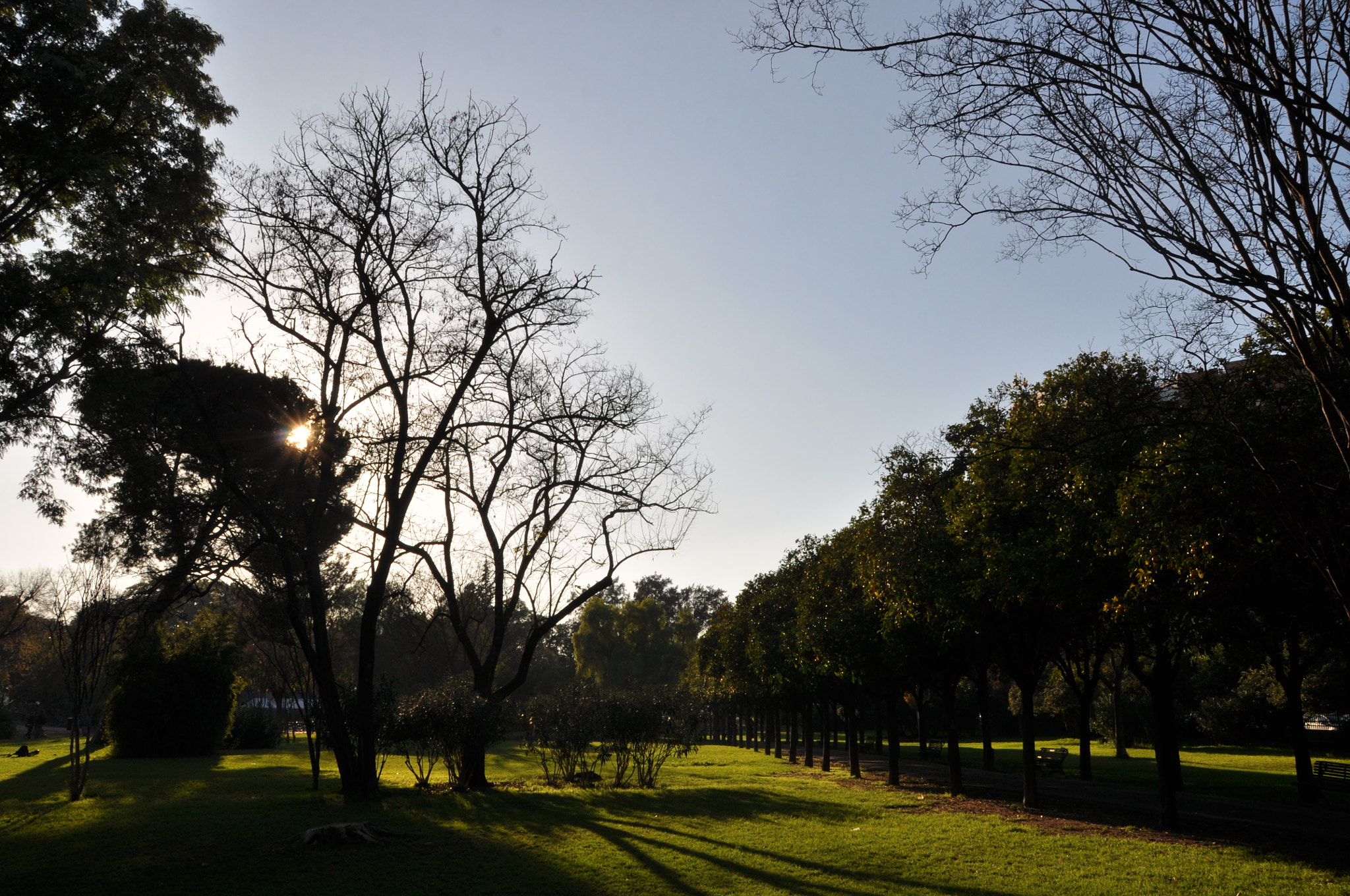 Sigma 18-200mm F3.5-6.3 II DC OS HSM sample photo. Atardecer en el parque photography