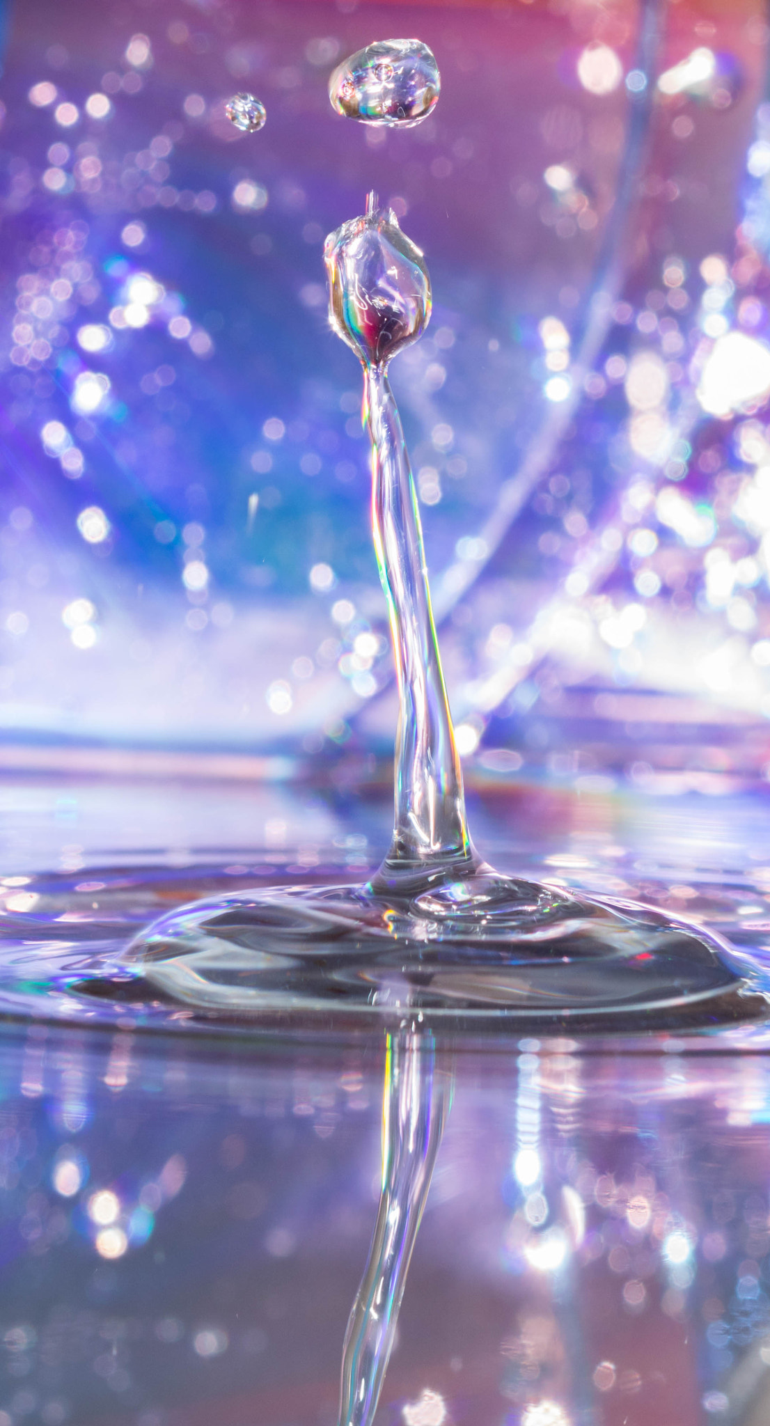Canon EF 100mm F2.8 Macro USM sample photo. Water drop photography