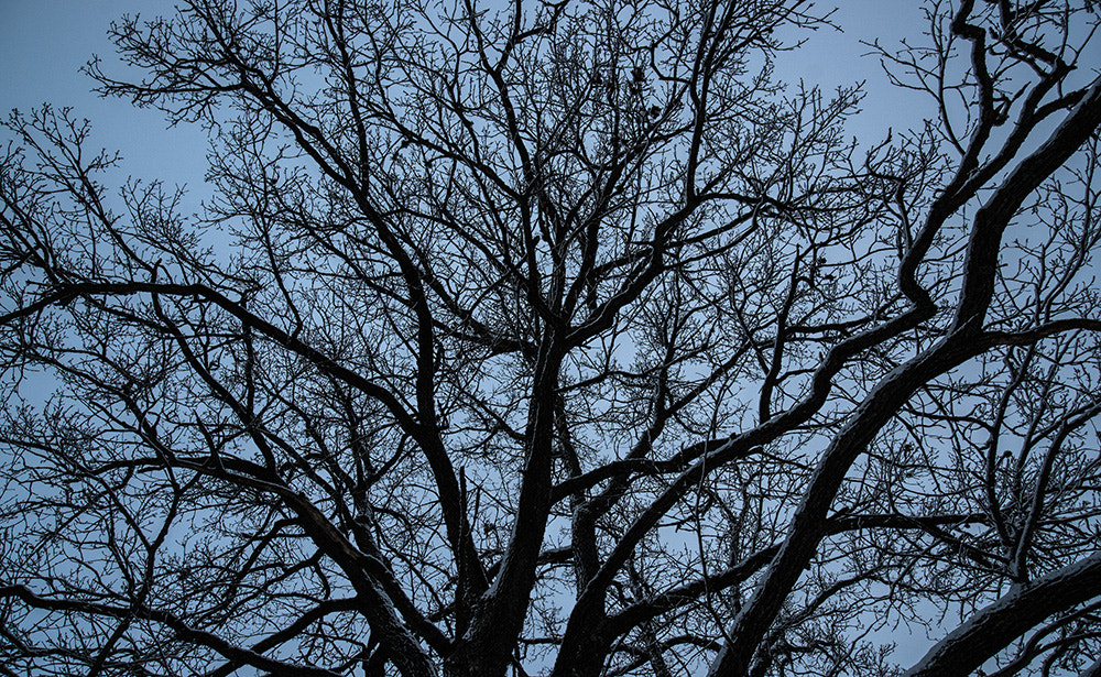 Sony Alpha DSLR-A900 sample photo. Outlier photography