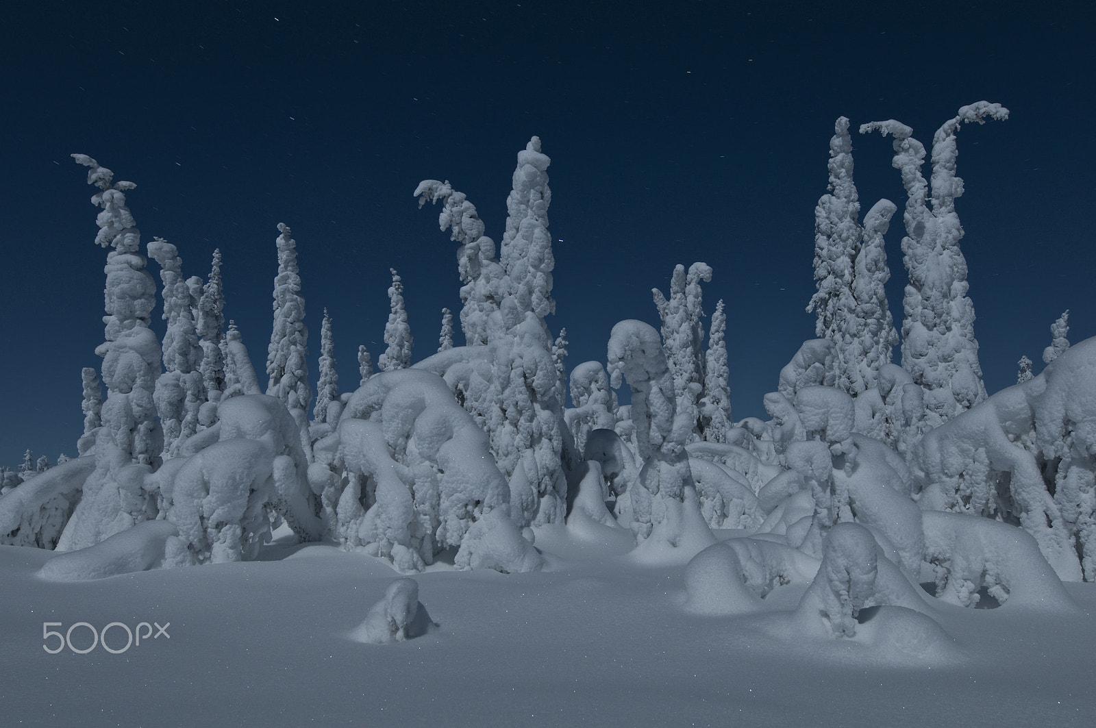 Nikon D300 sample photo. Frosty moonlight photography