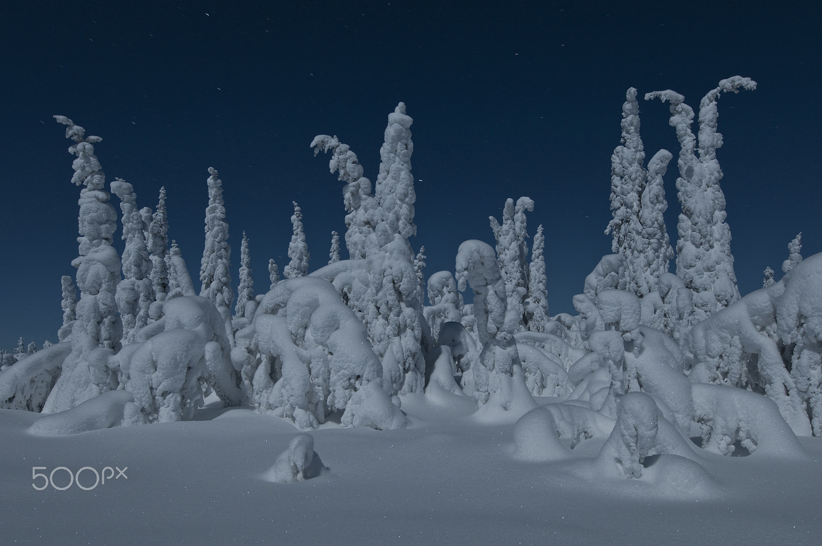 Nikon AF-S Nikkor 14-24mm F2.8G ED sample photo. Frosty moonlight photography