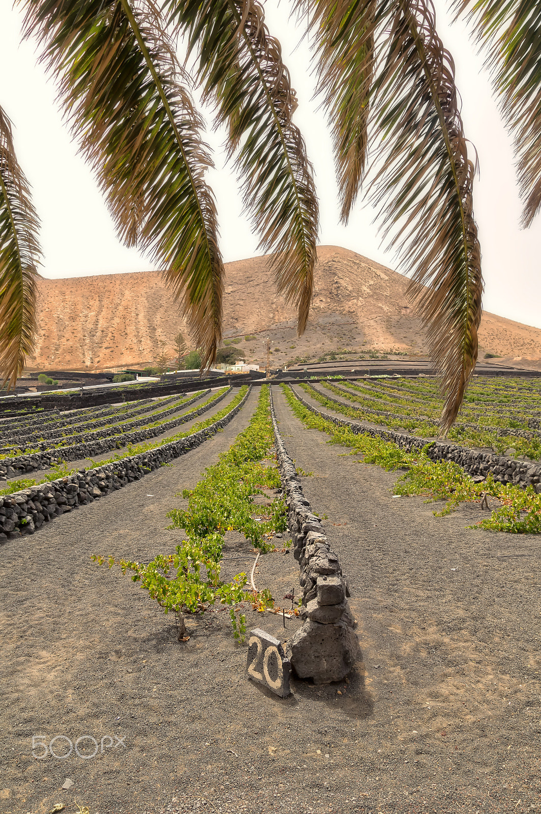 Pentax K-3 sample photo. Lanzarote. photography