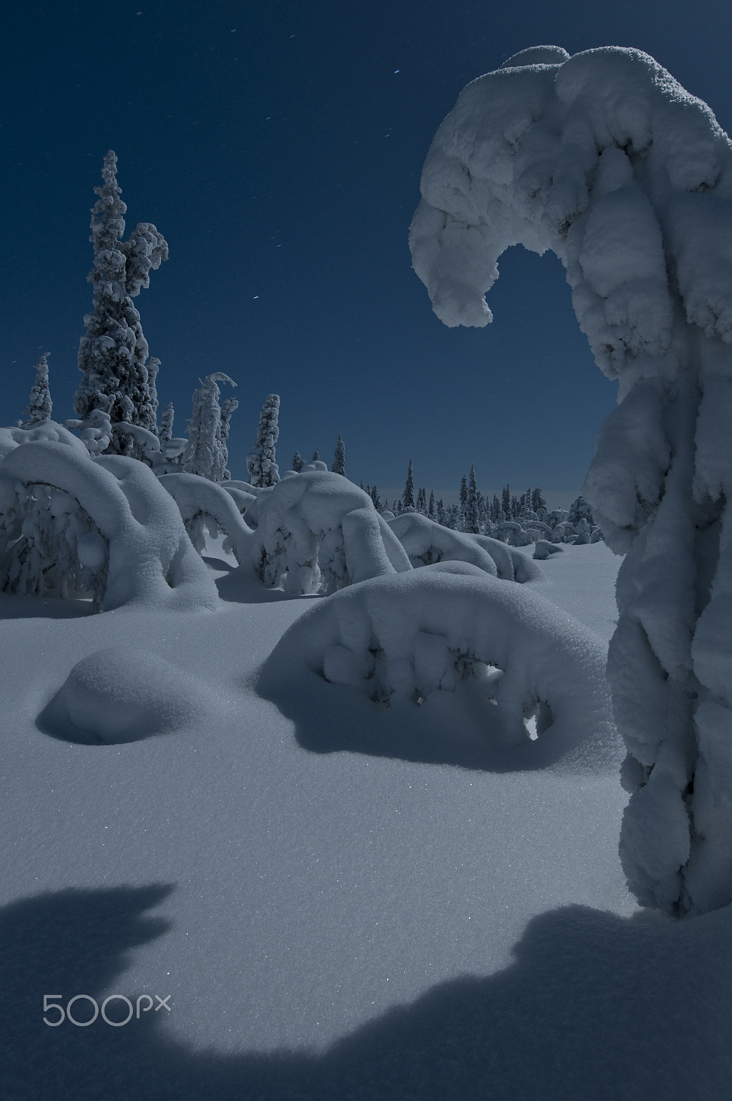Nikon AF-S Nikkor 14-24mm F2.8G ED sample photo. Moonlight shadows photography