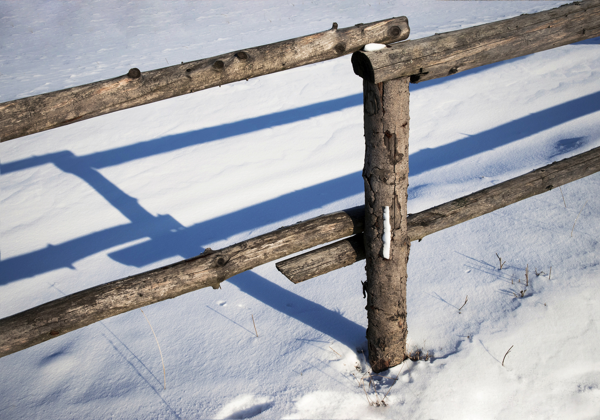 Nikon D5500 sample photo. Wooden fence in winter photography