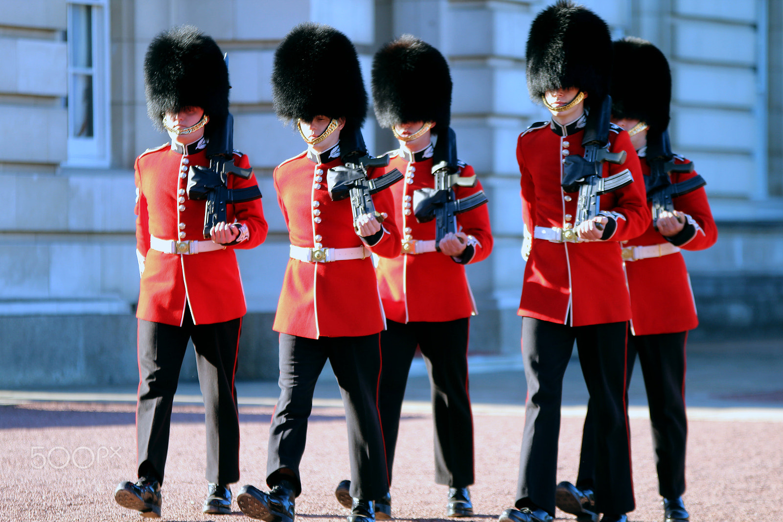Sigma 70-200mm F2.8 EX DG OS HSM sample photo. Guarding the queen photography