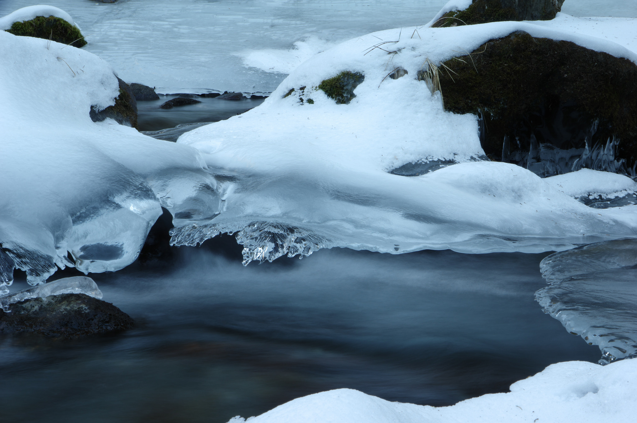 Pentax K-3 II sample photo