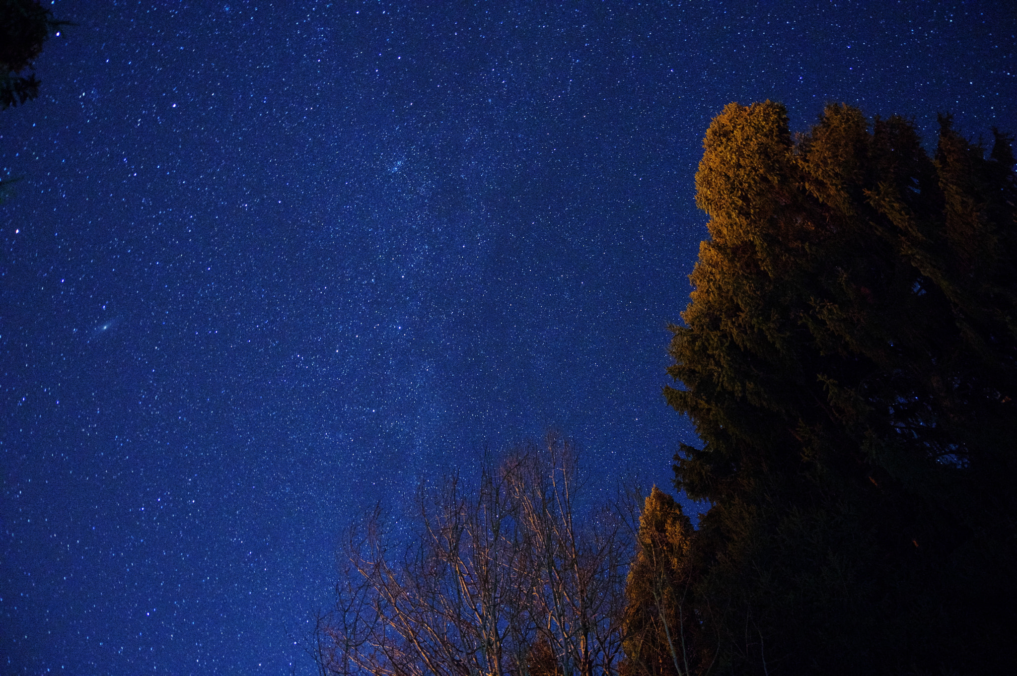 Pentax K-3 II sample photo